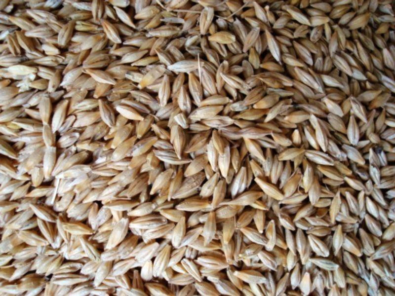 糧食重金屬檢測儀，滿足現場檢測需求